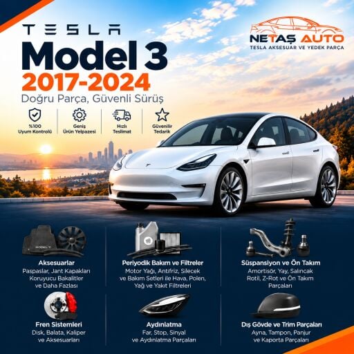 Model 3 2017-2024